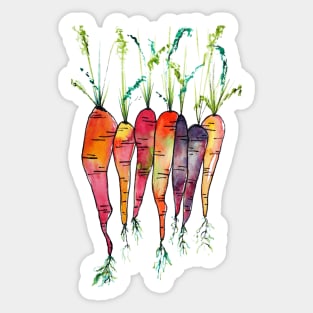 Colorful Heirloom Carrots Sticker